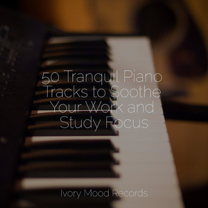 Tranquil Heights Echo