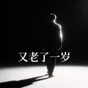 又老了一岁