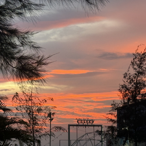 输得像个不投降的王