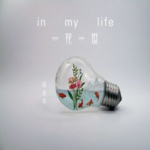 一花一世界