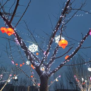 赤裸的秘密（Naked Secret）