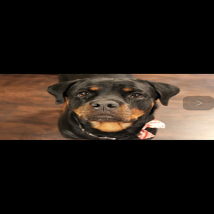 Before They Called Me Potus (Medley)