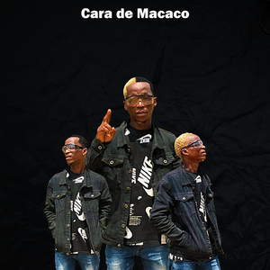 Cara de Macaco