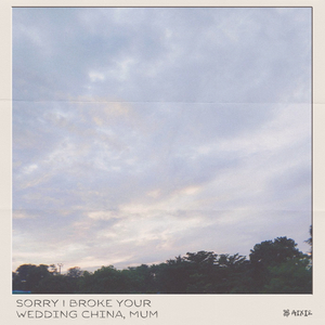 Sorry I Broke Your Wedding China, Mum