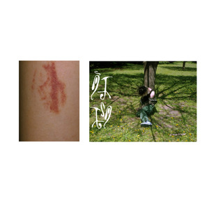 鳳城 (bonus track)