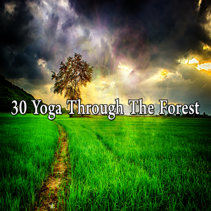 舒緩寧靜的靈魂