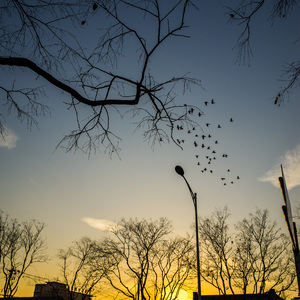 八十年代的歌（翻自 赵雷）