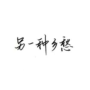 另一种乡愁