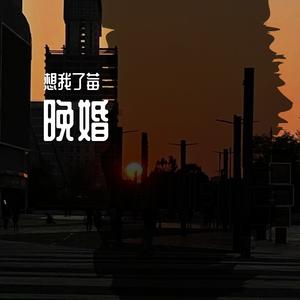 晚婚（Cover谭维维）