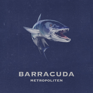 Barracuda