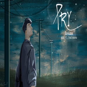 PRY (จ้องมอง)