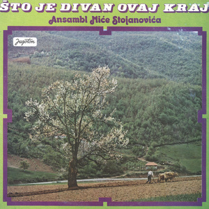 Rešio Sam Da Se Ženim