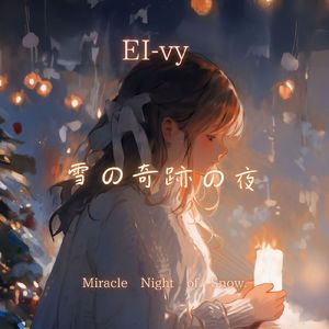 雪の奇跡の夜