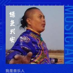 绿色兴安DJ 汉语版