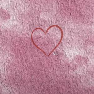 凌晨四点我看见海棠花未眠