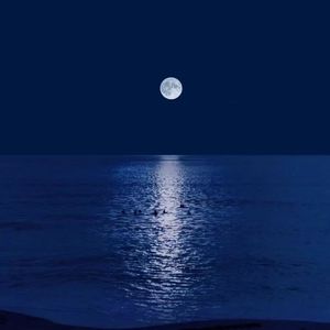 鱼和水的故事（prod by FRESH_ye）