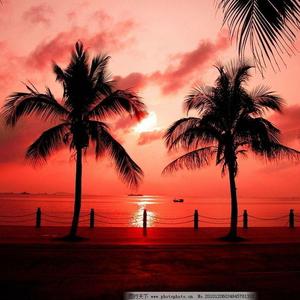 月川桥上晚起的日出