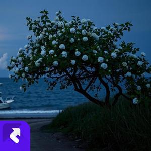 忆往宽容 (伴奏)