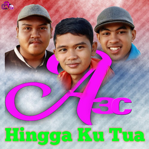 Hingga Ku Tua (Acoustic)