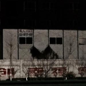 ਕੀ ਦੁਨੀਆ ਠੀਕ ਹੋ ਜਾਵੇਗੀ