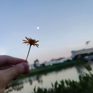 写给她的信(Prod.EVOMUSIC/Siren)