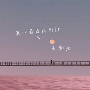 真心最后得到什么 (释怀版)