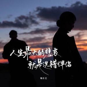 人生最大的悲哀就是选错伴侣（扎心版）