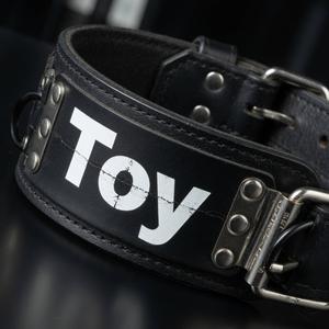 Toy