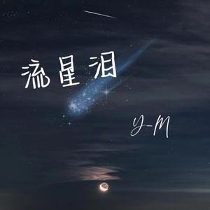 流星泪（PROD BY T.W.D)