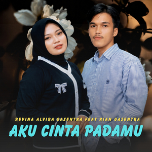 Aku Cinta Padamu