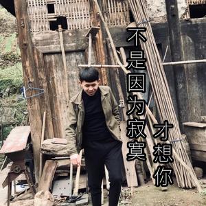 不是因为寂寞才想你dj