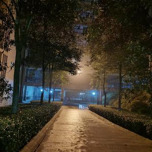 写给那个女孩的歌