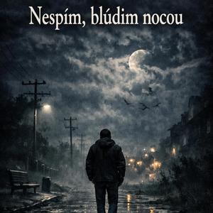 Nespím,blúdim nocou
