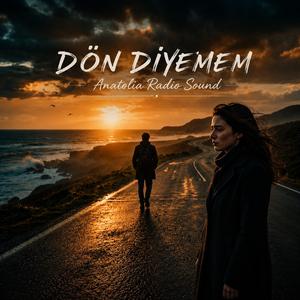 Dön Diyemem