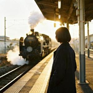 遗憾的过客 (Cover 半吨兄弟)