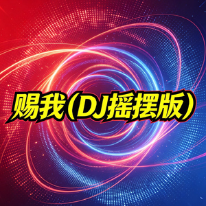 赐我(DJ摇摆版)