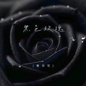 黑色玫瑰