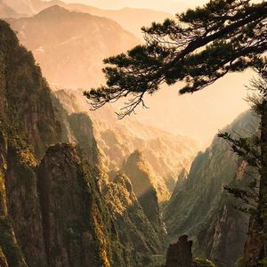 阳光亲吻 每颗心头