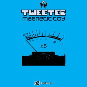 Magnetic Toy (Animale Due Take Me Home Mix)
