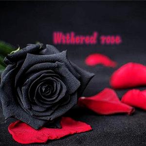 Withered rose（Prod by Boyfifty)