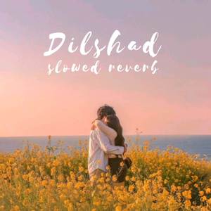 Dilshad slowed