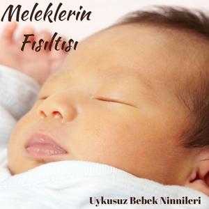 Fısıltılı Kanatlar