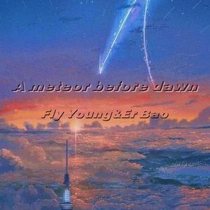 A meteor before dawn