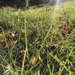 莫名奇妙爱上你（翻自 Joyce Chu）