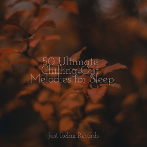 Unburdening the Shadows