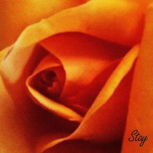 Stay