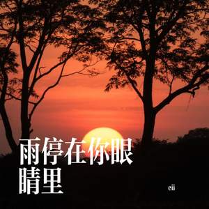 雨停在你眼睛里