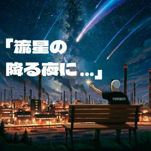 流星の降る夜に…