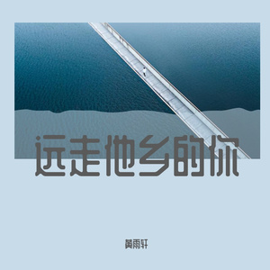 远走他乡的你