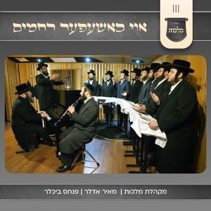 אוי באשעפער רחמים